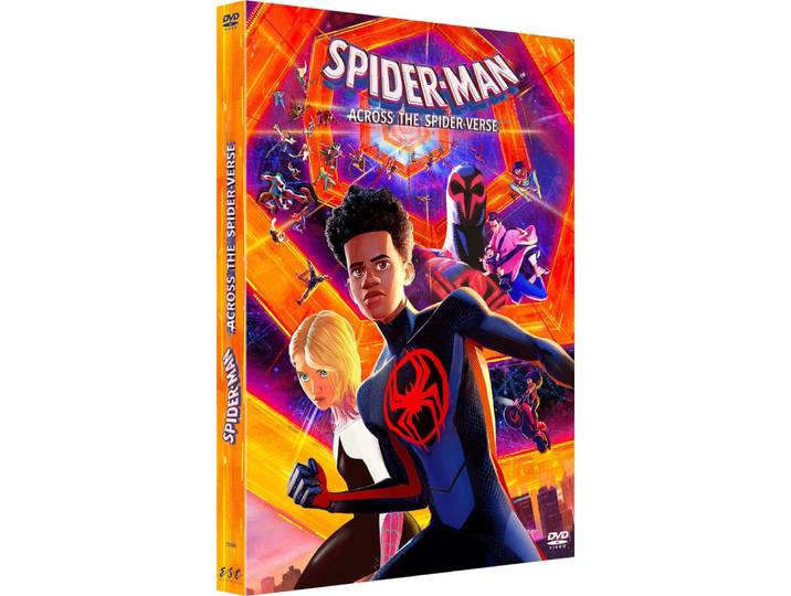 Spider-Man : Across the Spider-Verse