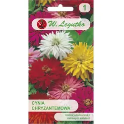 Zinnia, elegante Chrysanthemenmischung