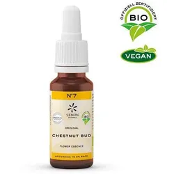 Bachbluete 7 Chest Bud Bio 20 ML