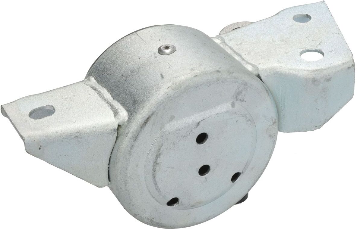 Tedgum Supporto, supporto motore TED93543