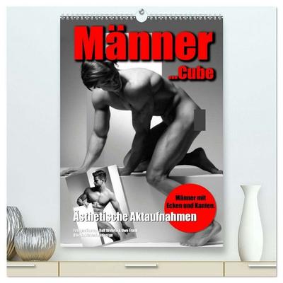 Männer... Cube (hochwertiger Premium Wandkalender 2026 DIN A2 hoch), Kunstdruck in Hochglanz