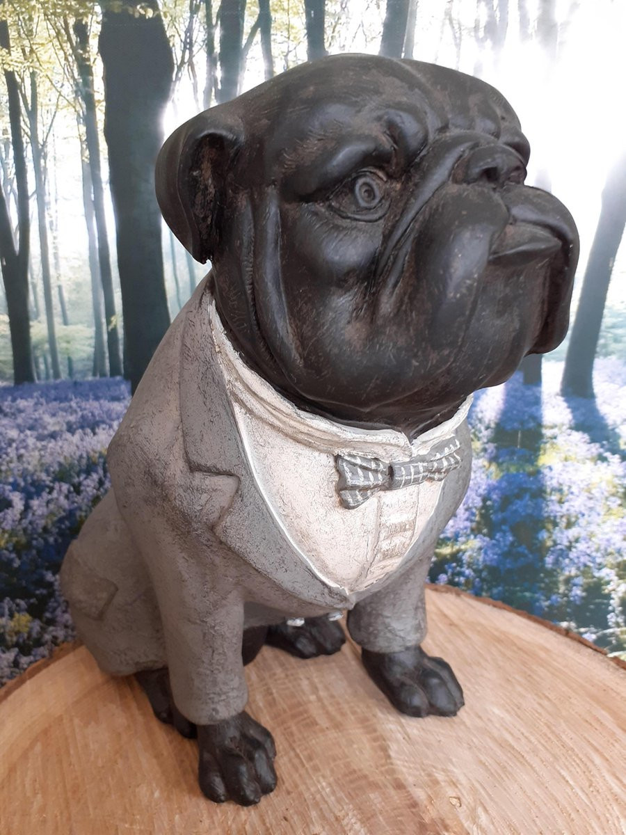 Bulldog met colbert decoratief beeldje voor op tafel B/D/H: 22 x 13 x 19 cm