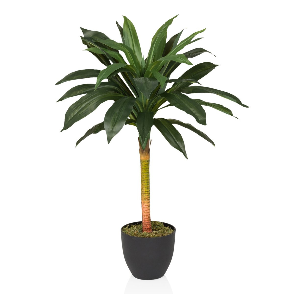 Kunstplant Dracaena Groen hjh OFFICE
