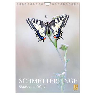 Schmetterlinge - Gaukler im Wind (Wandkalender 2026 DIN A4 hoch), CALVENDO Monatskalender