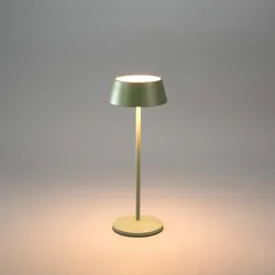 Menton USB-LED-Tischleuchte grün/grau