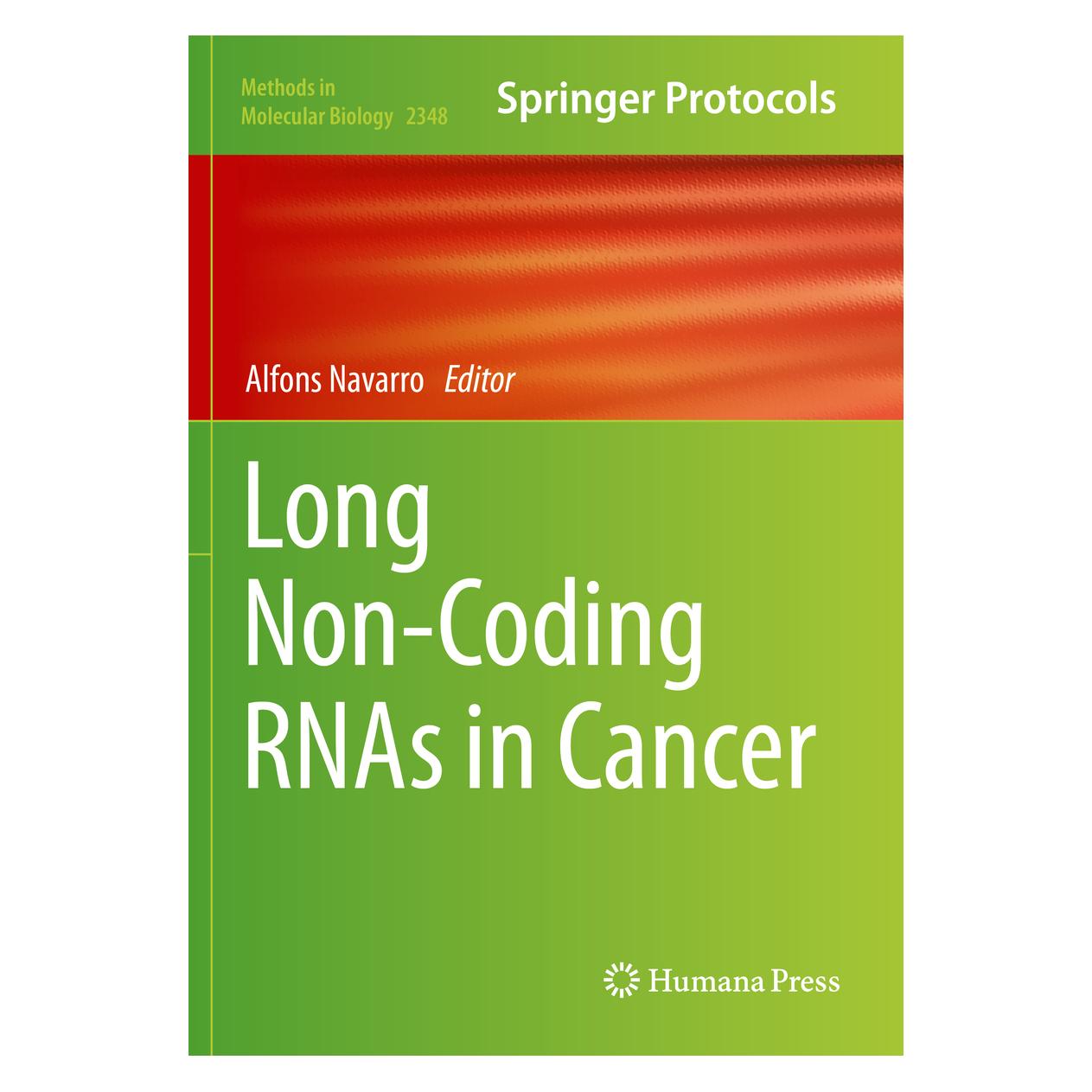 Springer Long Non-Coding RNAs in Cancer (Englisch, Softcover, Alfons Navarro) (56856902)