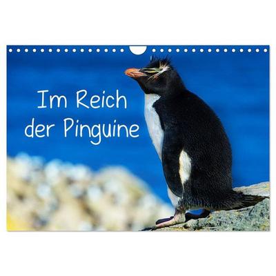 Im Reich der Pinguine (Wandkalender 2027 DIN A4 quer), CALVENDO Monatskalender