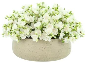 Creative Labs Budding Leaves in Fiberstone Pot