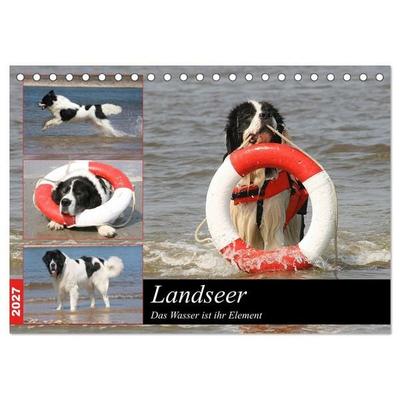 Landseer - Das Wasser ist ihr Element (Tischkalender 2027 DIN A5 quer), CALVENDO Monatskalender