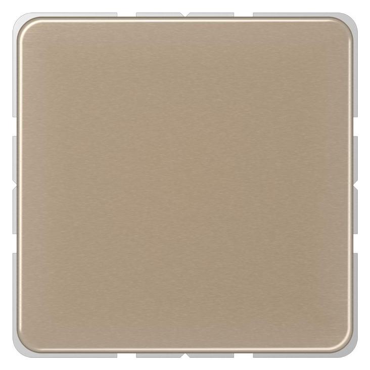 JUNG Einsatz Blindabd CD brz glz Klemmbef CD594-0GB (CD594-0GB)
