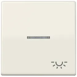 Jung Wippe Symbol LICHT ws ABAS 591 KO5L ABAS591KO5L