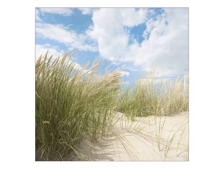 Floatglasbild Sommertag I Floatglas Multicolor 30 x 30 x 1cm