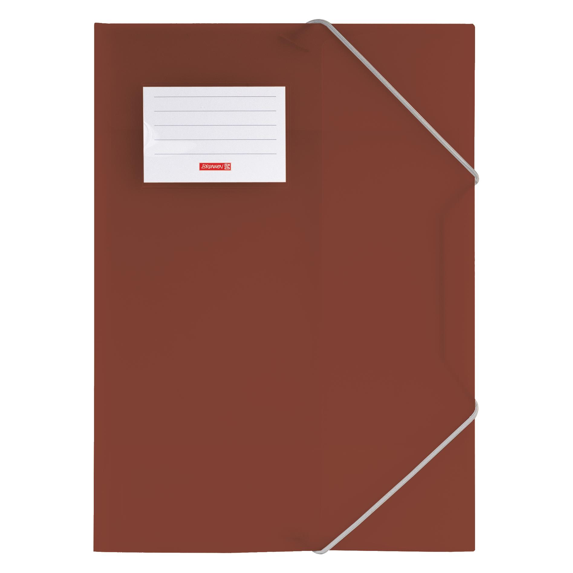 Brunnen Sammelmappe FACT!pp DIN A4 braun transparent (A4) (104160479)