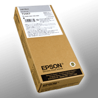 Epson Tinte C13T54X700 light black T54X7