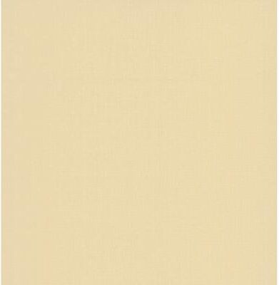 A-Street Prints Peizhi Ivory Basketweave Wallpaper
