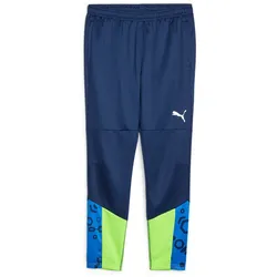 PUMA individualCUP Trainingshose Herren 54 - persian blue/pro green XXL