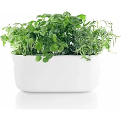 Eva Solo, Blumentopf, Herb-Organiser (31 x 13 x 13 cm)