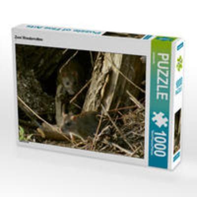 CALVENDO Puzzle Zwei Wanderratten 1000 Teile Lege-Größe 64 x 48 cm Foto-Puzzle Bild von kattobello