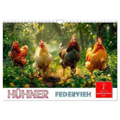 Hühner Federvieh (Wandkalender 2026 DIN A4 quer), CALVENDO Monatskalender