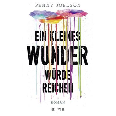 Ein kleines Wunder würde reichen, Gebundene Ausgabe von Penny Joelson, Fischer Fjb
