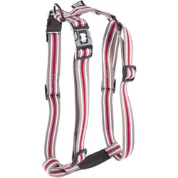 Martin Sellier S (50, Hund, Spazieren), Halsband + Leine