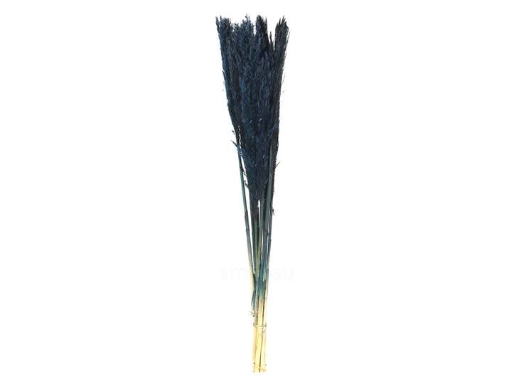 Pampasgras im 10er-Bund, Trockenblumen Deko in Vasen oder Gestecken, dunkelblau, 75 cm
