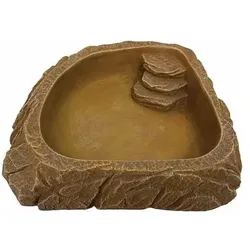 Terra della Ecknapf, Terrariumeinrichtung