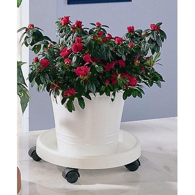 Blumentopfuntersetzer RUCO "- Aufstellfläche bzw. Innenmaß ca. 30 cm", weiß, H:9cm Ø:34cm, Kunststoff, Untersetzer, Kunststoff, Ø 34 cm