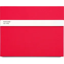 Pantone Skizzenbuch mit Bleistift L 160 Seiten rot liniert 100 g/m2