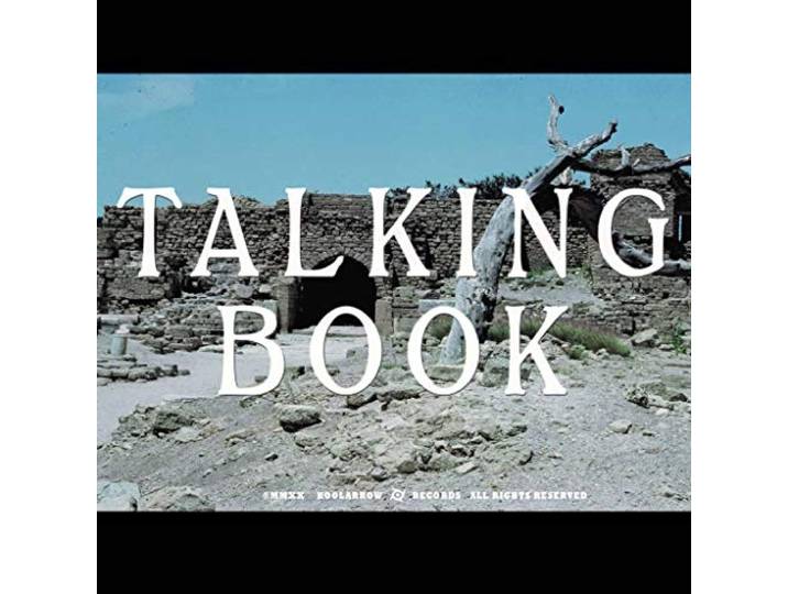 Talking Book II
