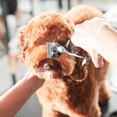 Happy Pet Pantry Handheld Manual Dog Grooming Clippers Precision Pet Hair Trimmer & Sheep Shears 1