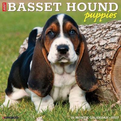 Basset Hound Puppies 2027 12 X 12 Wall Calendar
