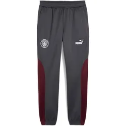 Puma, Unisex, Sporthose, Manchester City 2024/25 Jogginghose (S), Grau