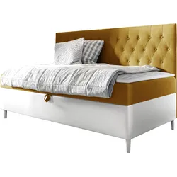 BOXBETT Filip Junior 2 - H3