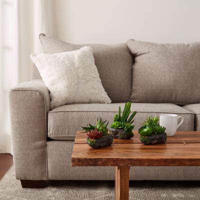 Pure Garden 3-Piece Artificial Succulent Plant Set
