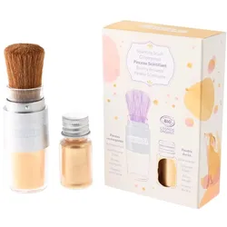 Glitzerpuder - Gold Pinsel + refill 4g