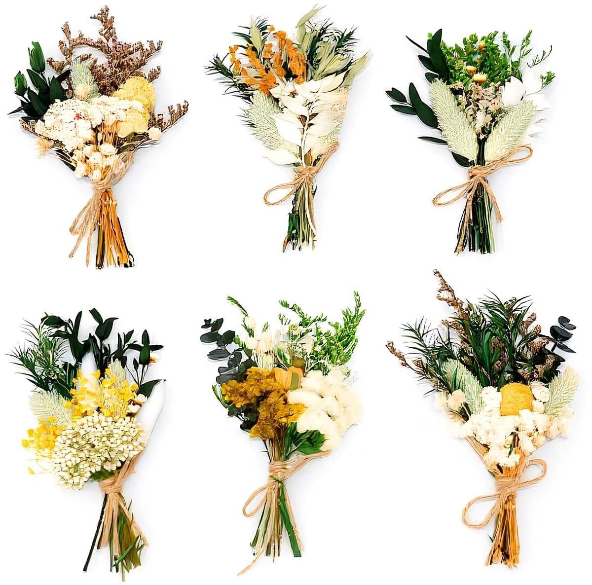 Solidchoice - 6 Bundels Gedroogde Bloemen voor Natuurlijke Decoratie