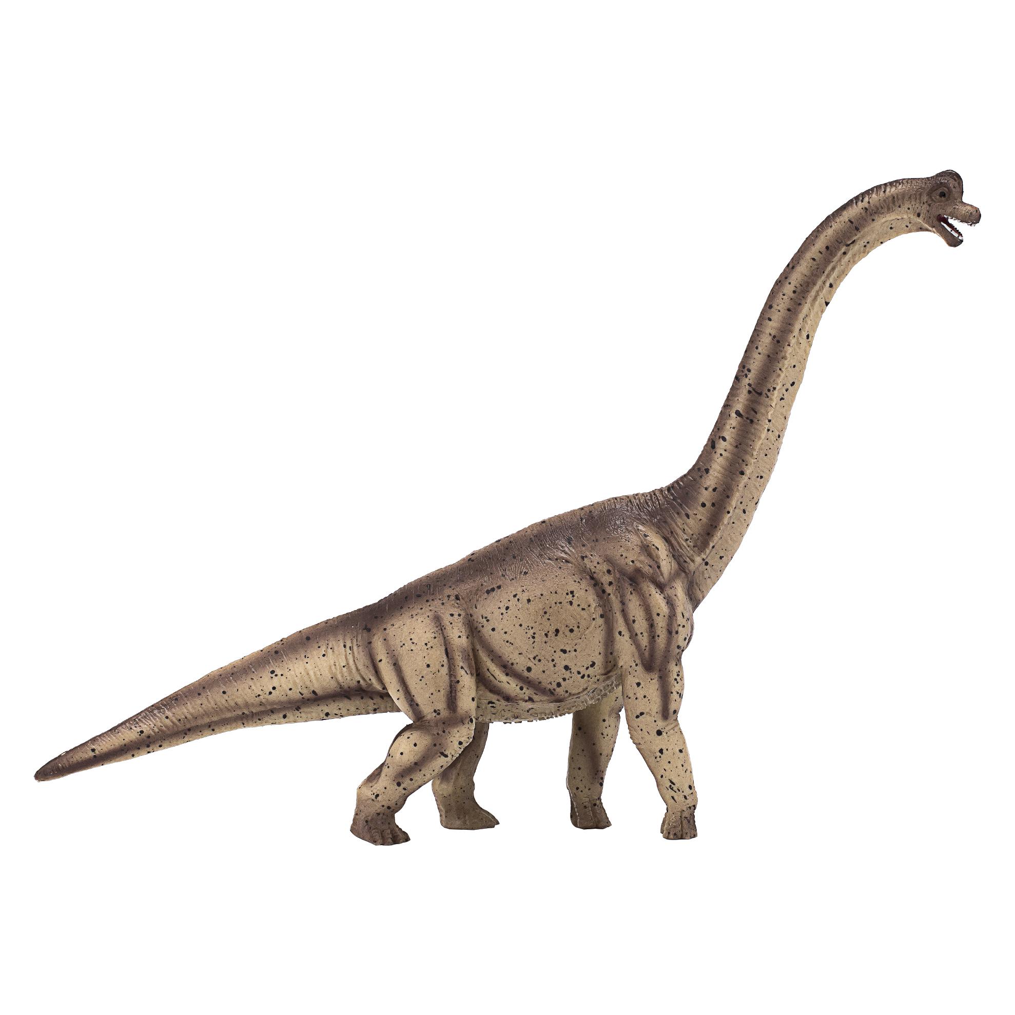 small foot Brachiosaurus (MJ-387381)