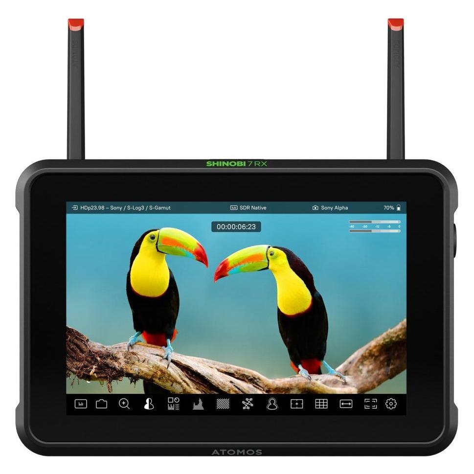 Atomos Shinobi 7rx (7", Full HD) (ATOMSHBRX1)