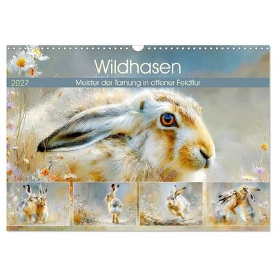 Wildhasen. Meister der Tarnung in offener Feldflur (Wandkalender 2027 DIN A3 quer), CALVENDO Monatskalender