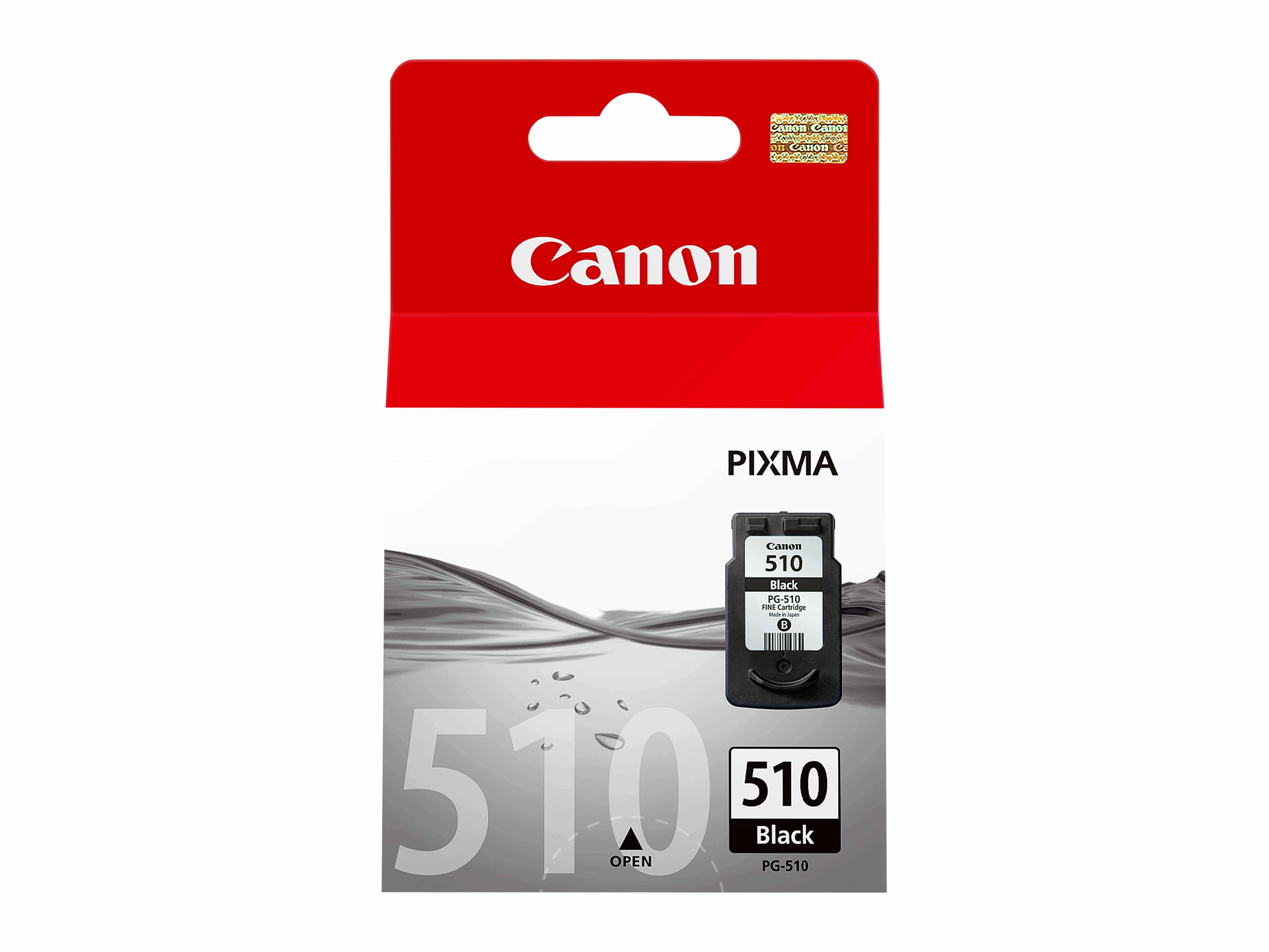 Canon originale Druckerpatrone Foto schwarz 220 Seiten PG-510 2970B001