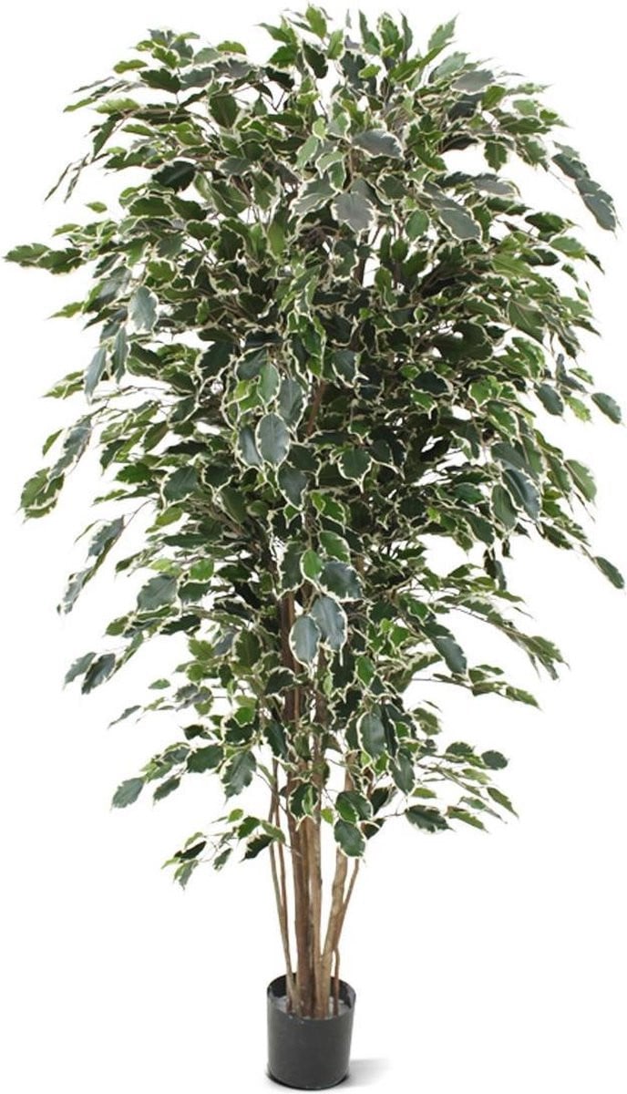 Ficus Exotica deluxe kunstboom, 180 cm, bont