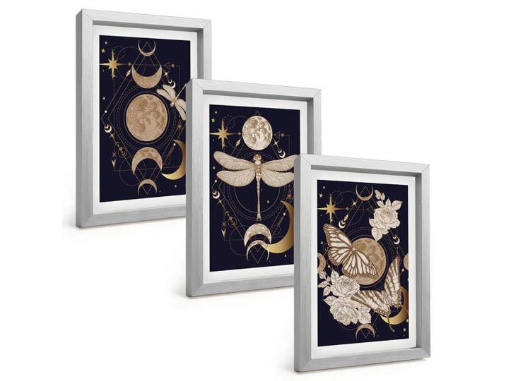 Tulup Bilder SET 3er Set - 20x30 cm Silberner Rahmen - Naturmotive Mondblumen, Silberfarben, Kunststoff, Rechteckig, 20x30 cm, Fotografie, Bilder & Rahmen, Bilder