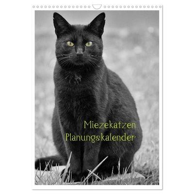 Miezekatzen Planungskalender (Wandkalender 2027 DIN A3 hoch), CALVENDO Monatskalender