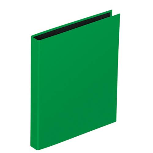 PAGNA Ringbuch Basic Colours DIN A4 Grün 2 Ringe 20606-05