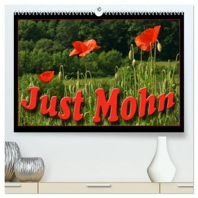 Just Mohn (hochwertiger Premium Wandkalender 2027 DIN A2 quer), Kunstdruck in Hochglanz