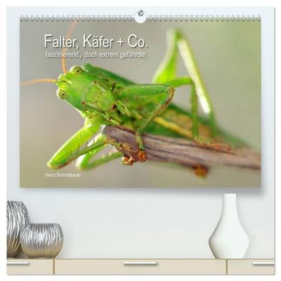 Falter, Käfer und Co.faszinierend, doch extrem gefährdet (hochwertiger Premium Wandkalender 2026 DIN A2 quer), Kunstdruck in Hochglanz