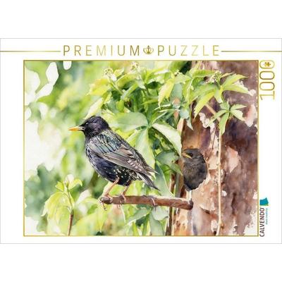CALVENDO Puzzle Star mit Nachwuchs | 1000 Teile Lege-Größe 64 × 48 cm Foto-Puzzle für glückliche Stunden