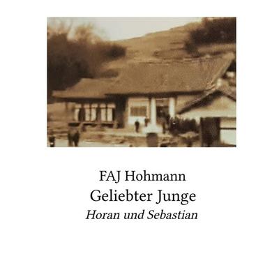 Geliebter Junge, Taschenbuch von FAJ Hohmann, Epubli, 978-3-7598-7762-8
