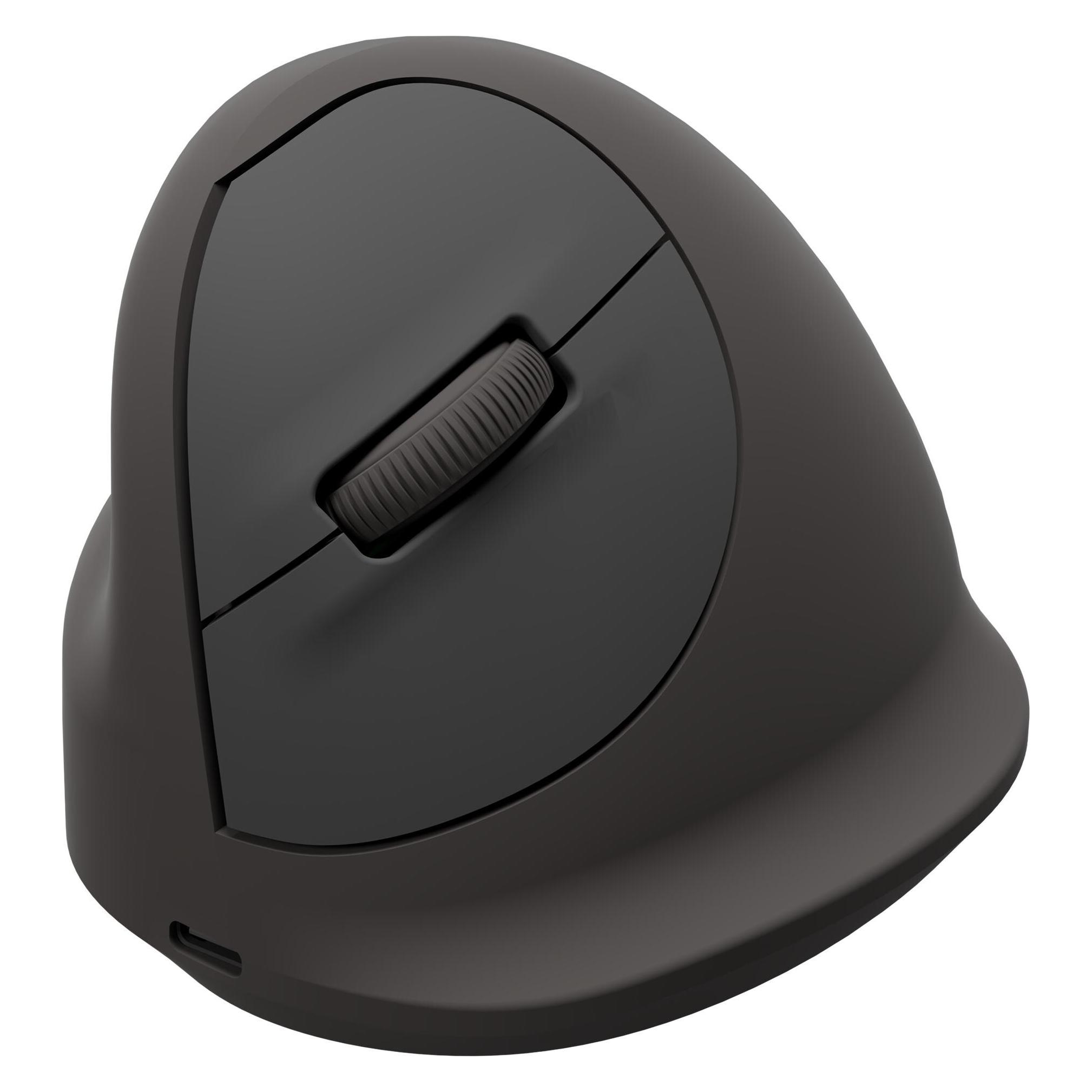 Fellowes Breyta Basic Ergonomische Maus (Kabelgebunden, Kabellos) (100143579)